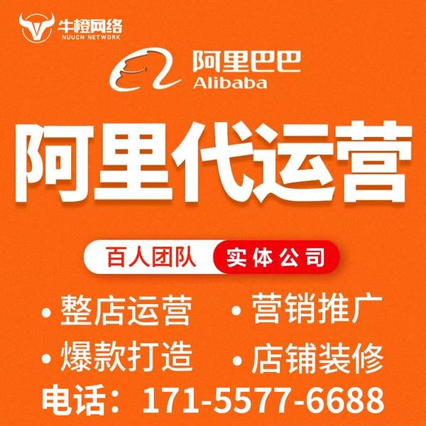 龙口电商代运营