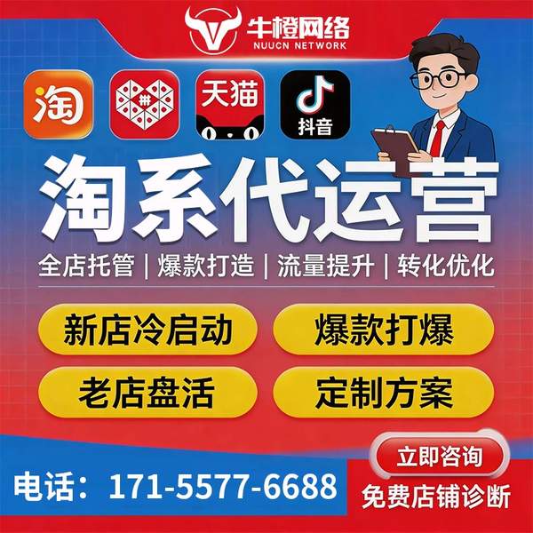 龙口电商代运营