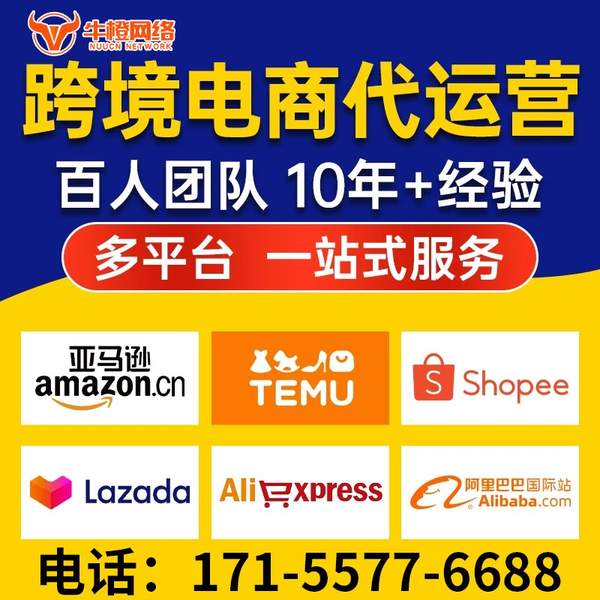 龙口电商代运营