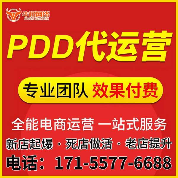 龙口电商代运营