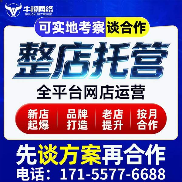 龙口电商代运营