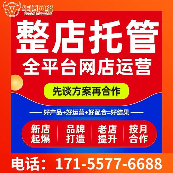 龙口电商代运营