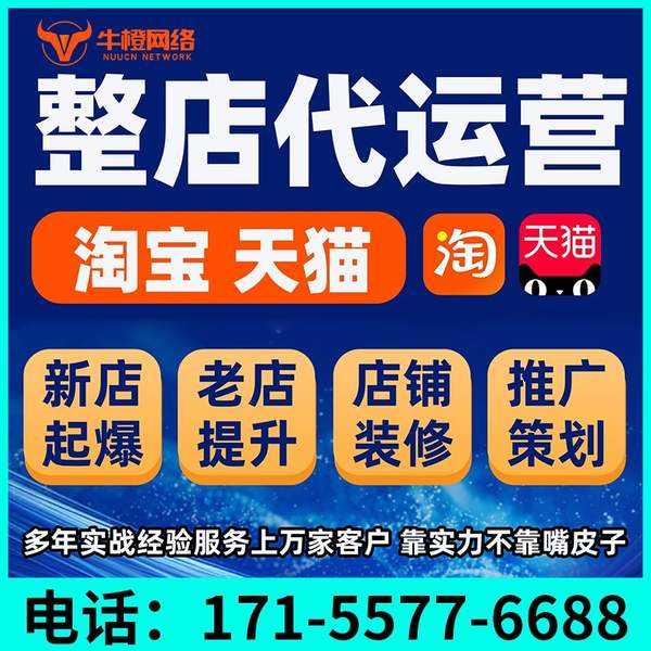 龙口电商代运营