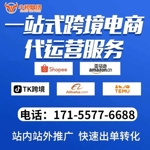 龙口电商代运营
