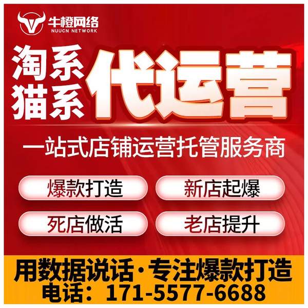 龙口电商代运营